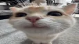)