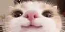 )))
